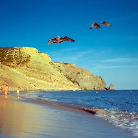 B69 - Village Of Apartment Praia Da Luz